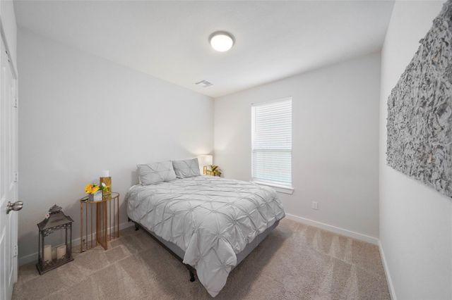 169 Emory Birch Drive, Montgomery, TX 77316