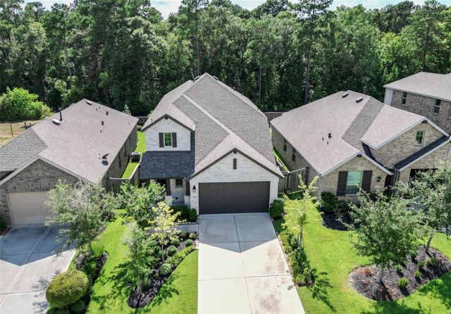 169 Emory Birch Drive, Montgomery, TX 77316