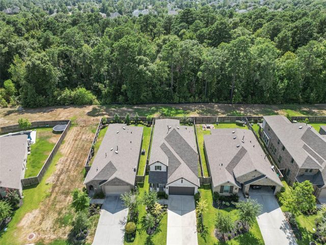 169 Emory Birch Drive, Montgomery, TX 77316