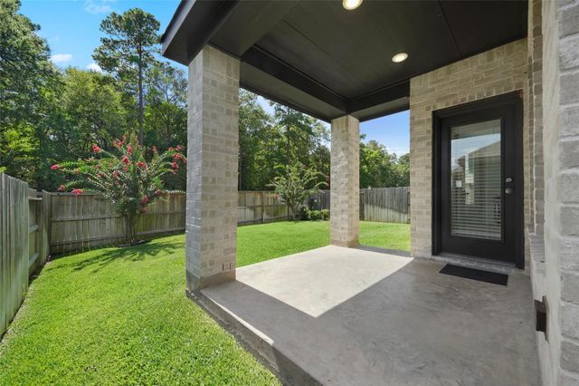 169 Emory Birch Drive, Montgomery, TX 77316