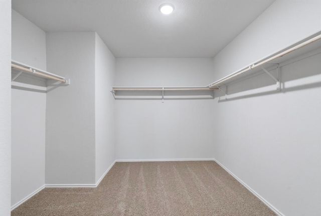125 Duckhorn PASS, San Marcos, TX 78666