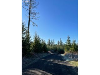 0 Buck Hollow (18) Rd, Sheridan, OR 97378