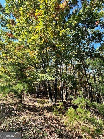 0 Vista View Parkway, Jasper, GA 30143