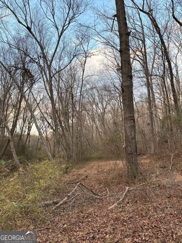 381 Martin Dairy Road, Milner, GA 30257