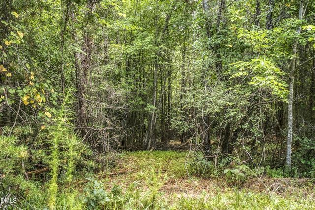 Lot 5 Green Mountain Road, Hillsborough, NC 27278