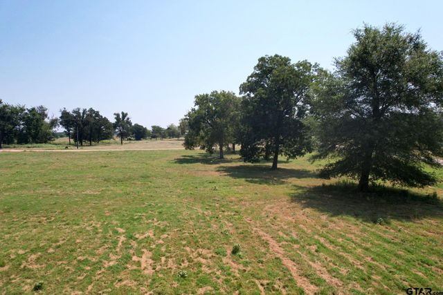 TBD PR 5911, Yantis, TX 75497