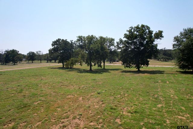 TBD PR 5911, Yantis, TX 75497