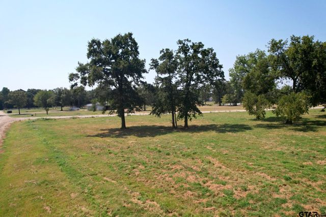 TBD PR 5911, Yantis, TX 75497