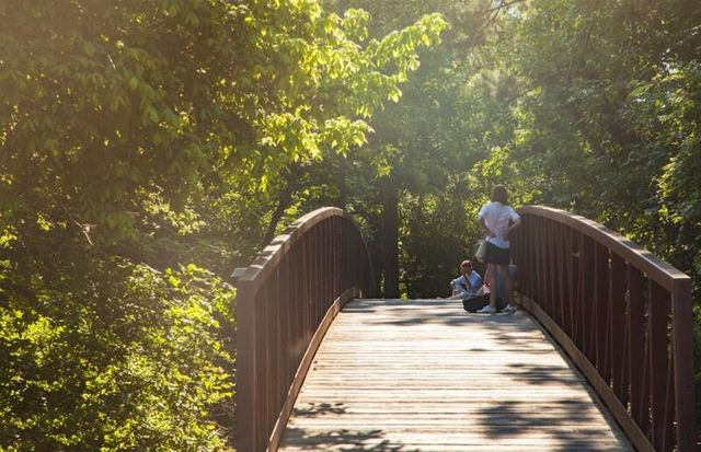 11914 Riverview Drive, Houston, TX 77077