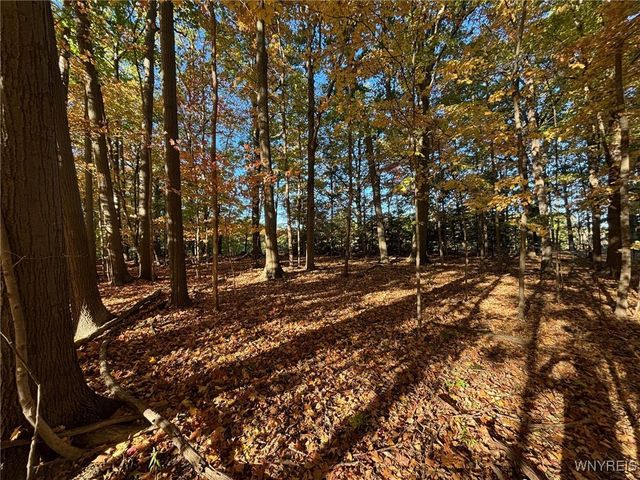 0 Stainton Drive, Hamburg, NY 14075