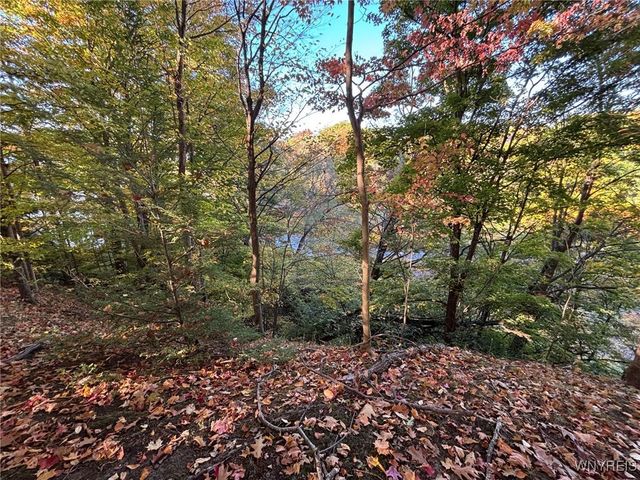 0 Stainton Drive, Hamburg, NY 14075