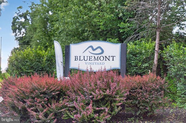 18616 FOGGY BOTTOM RD, Bluemont, VA 20135