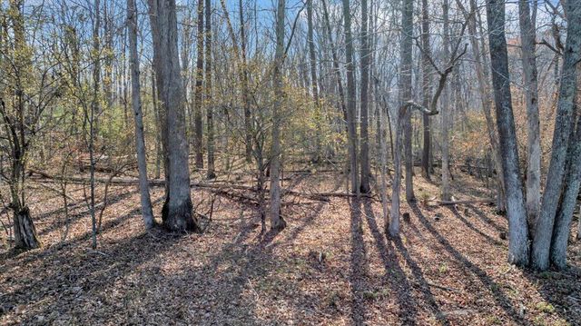 2545 Pico RD, Buchanan, VA 24066