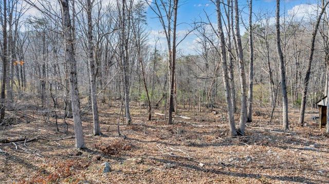 2545 Pico RD, Buchanan, VA 24066