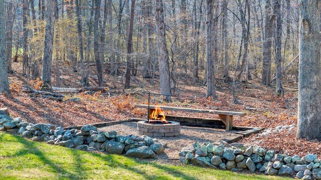 2545 Pico RD, Buchanan, VA 24066