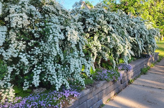 3821 Bloomington Avenue, Minneapolis, MN 55407