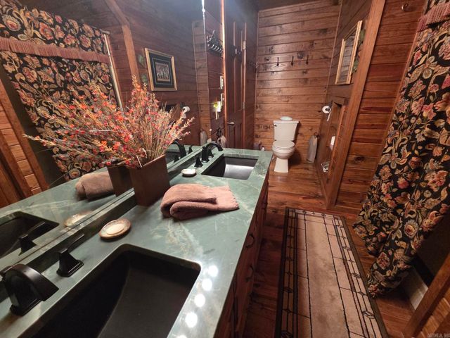 170 River Mist Drive, Pangburn, AR 72121