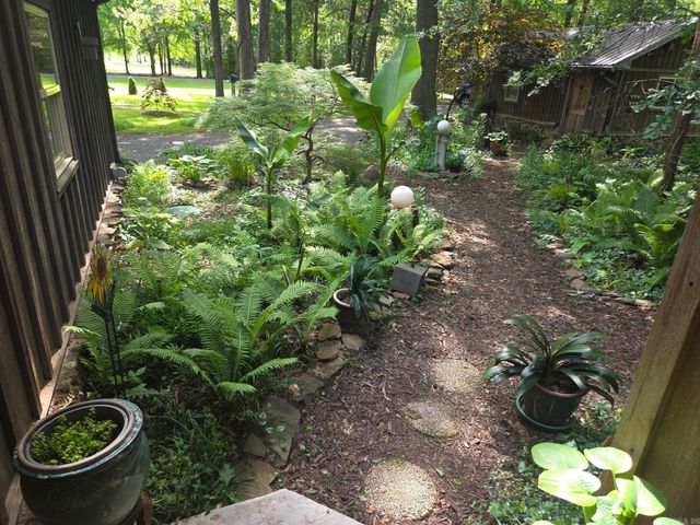 170 River Mist Drive, Pangburn, AR 72121