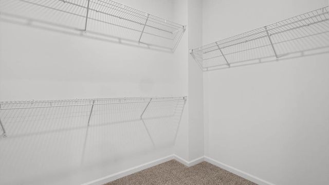 1243 Tiger Lily Drive, Bartlett, IL 60103