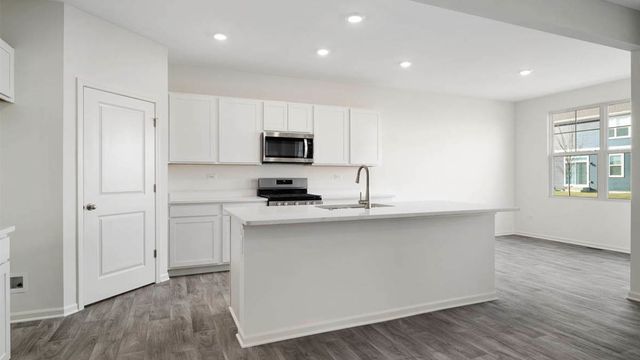 1243 Tiger Lily Drive, Bartlett, IL 60103