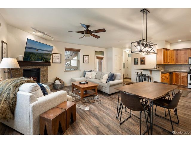 420 Cougar Ave 1, Fraser, CO 80442