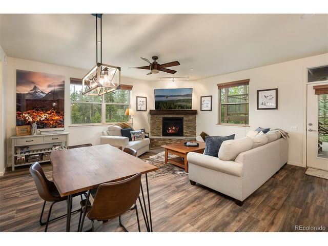 420 Cougar Ave 1, Fraser, CO 80442