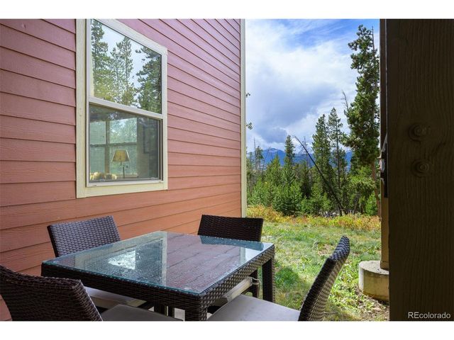 420 Cougar Ave 1, Fraser, CO 80442