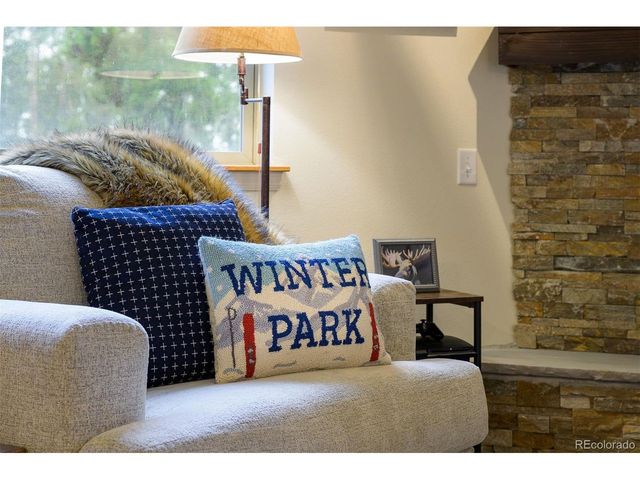 420 Cougar Ave 1, Fraser, CO 80442