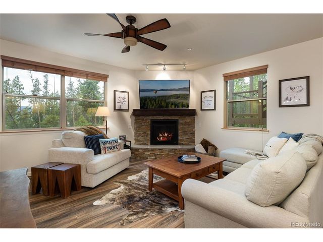 420 Cougar Ave 1, Fraser, CO 80442