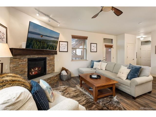 420 Cougar Ave 1, Fraser, CO 80442