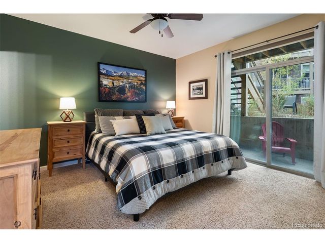 420 Cougar Ave 1, Fraser, CO 80442