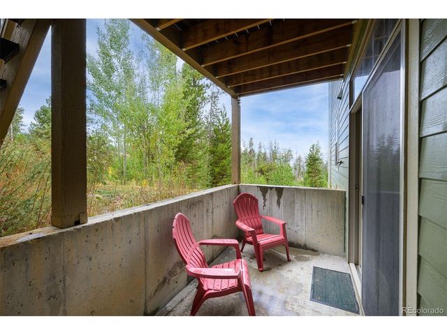 420 Cougar Ave 1, Fraser, CO 80442