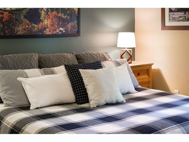 420 Cougar Ave 1, Fraser, CO 80442