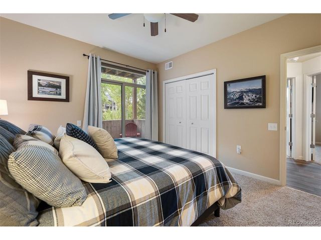 420 Cougar Ave 1, Fraser, CO 80442