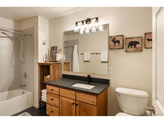 420 Cougar Ave 1, Fraser, CO 80442