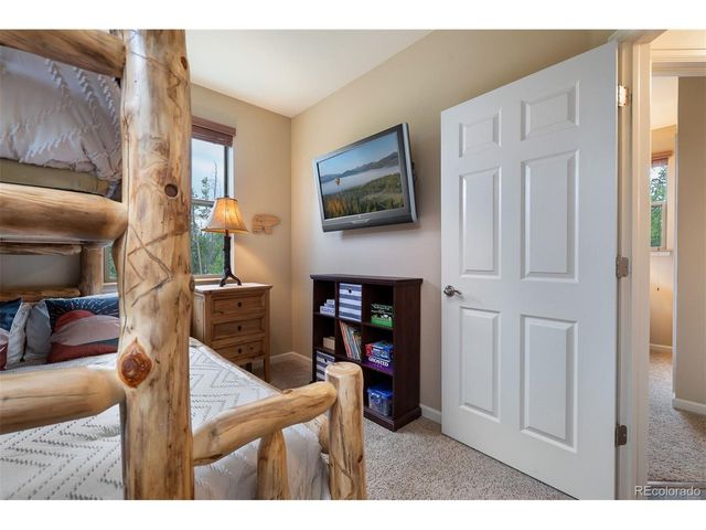 420 Cougar Ave 1, Fraser, CO 80442