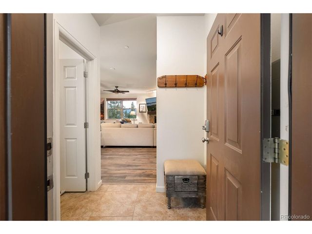 420 Cougar Ave 1, Fraser, CO 80442