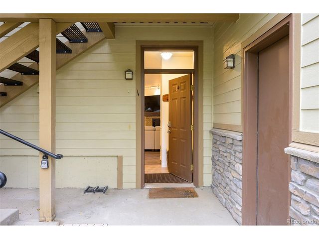 420 Cougar Ave 1, Fraser, CO 80442