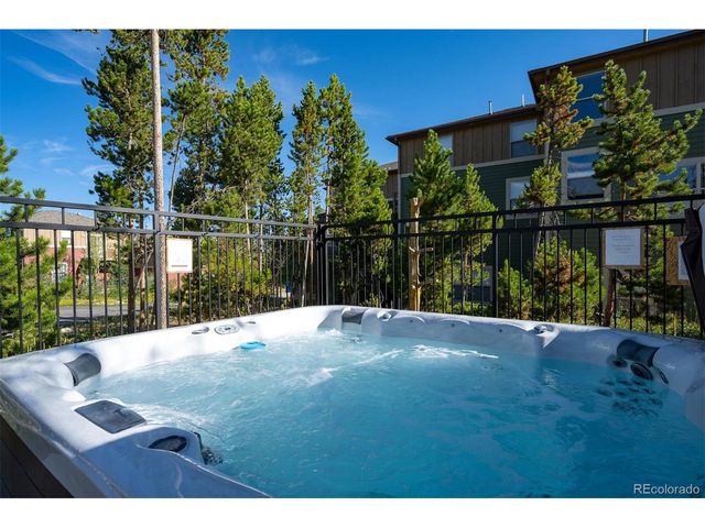 420 Cougar Ave 1, Fraser, CO 80442