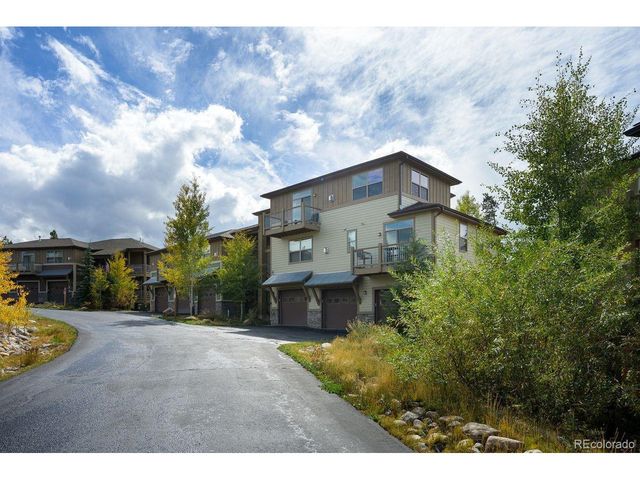 420 Cougar Ave 1, Fraser, CO 80442