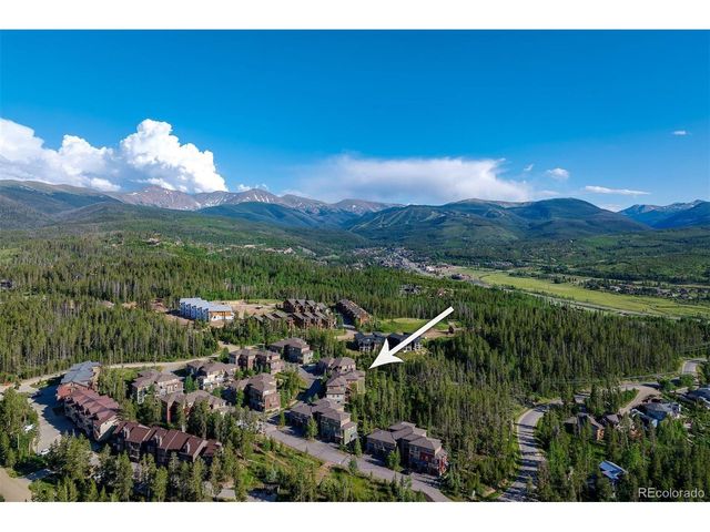 420 Cougar Ave 1, Fraser, CO 80442