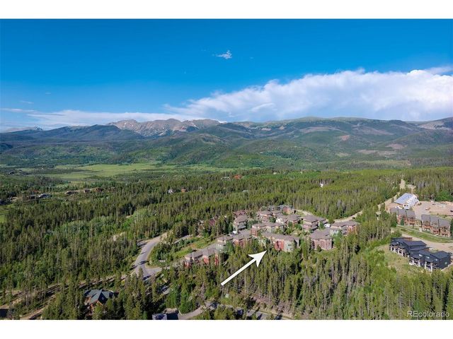 420 Cougar Ave 1, Fraser, CO 80442