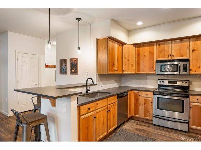 420 Cougar Ave 1, Fraser, CO 80442