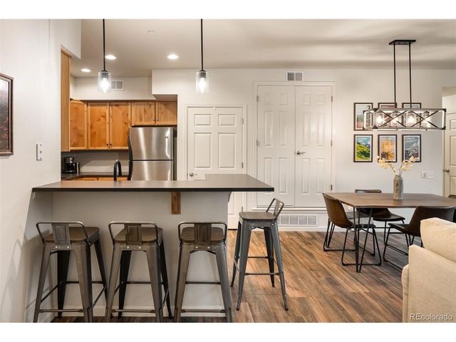 420 Cougar Ave 1, Fraser, CO 80442