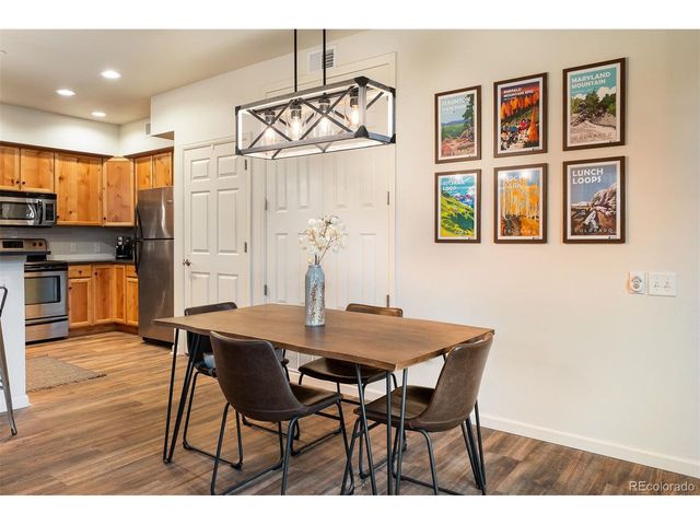 420 Cougar Ave 1, Fraser, CO 80442