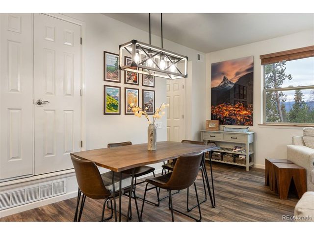 420 Cougar Ave 1, Fraser, CO 80442