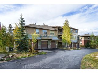 420 Cougar Ave 1, Fraser, CO 80442