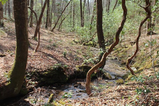 Lot 25 N Shelton Springs Drive, Hayesville, NC 28904