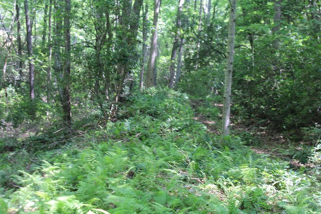 Lot 25 N Shelton Springs Drive, Hayesville, NC 28904