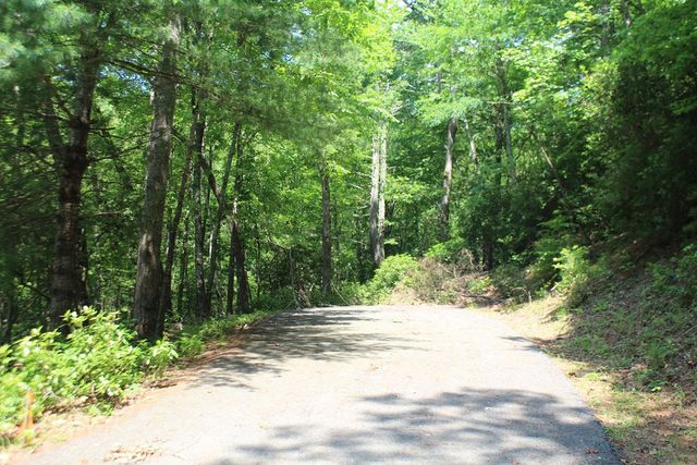 Lot 25 N Shelton Springs Drive, Hayesville, NC 28904